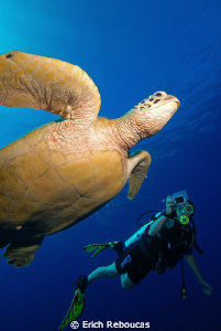 Turtle and photographer in Sipadan by Erich Reboucas 